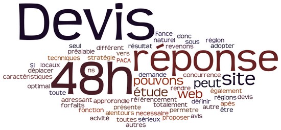 nuage devis r&eacute;f&eacute;rencement google